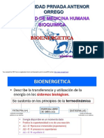 Bioenergética: Cátedra de Bioquímica y Nutrición Humana