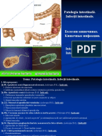 7. Patologia Intestinală. Infecțiile Intestinale