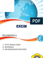 Ppt enzim