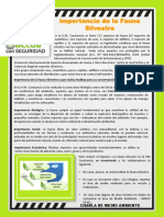 171019 Reporte diario SSOMA (1).pdf