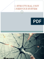 Neuron Structural Unit