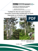 Angulo-Calidad - de - Sitio - de - Cuatro - especies-INIA, PUCALLPA PDF