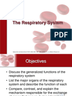 Respiratory system.ppt