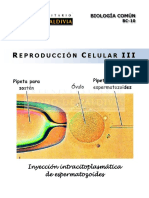 9 Reproduccion Celular III