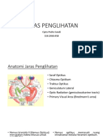 ANATOMY VISUAL