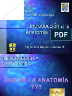 Clase Introduccion A La Anatomia