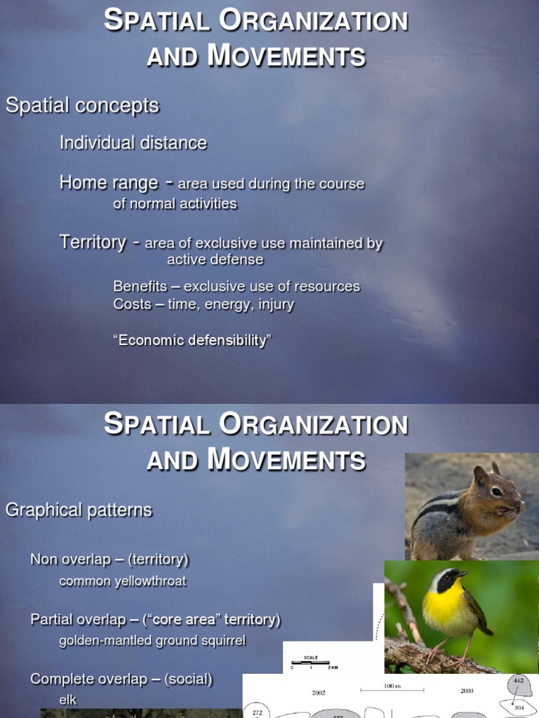 Spatial Organization and Animal Movements | PDF | Biological Dispersal ...