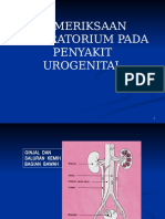 KP PX Lab Urogenitalia