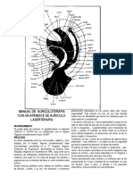 Auriculoterapia De Lipszyc -Cony 33.pdf