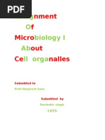 Assignment MB 1