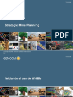 Strategic Mine Planning