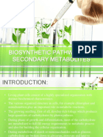 Biosynthetic Pathways of Secondary Metabolites
