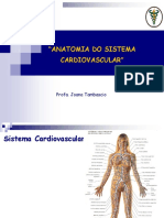 Fisiologia Cardiovascular