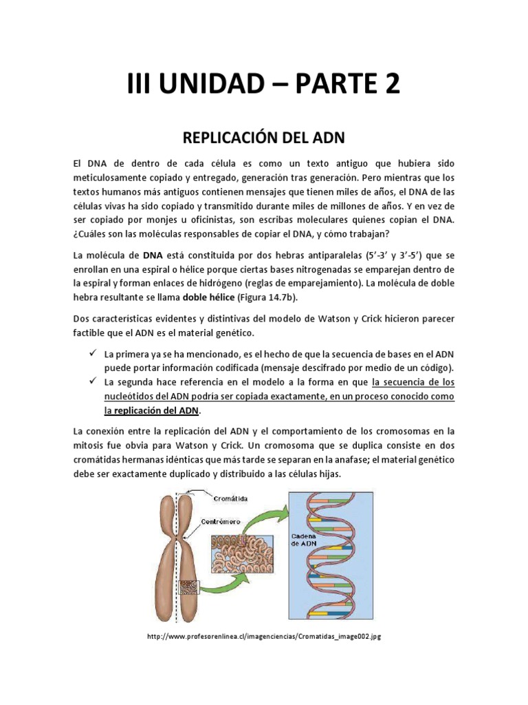 Biología | PDF | Mitosis | Mitosis