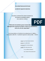 tesis.pdf