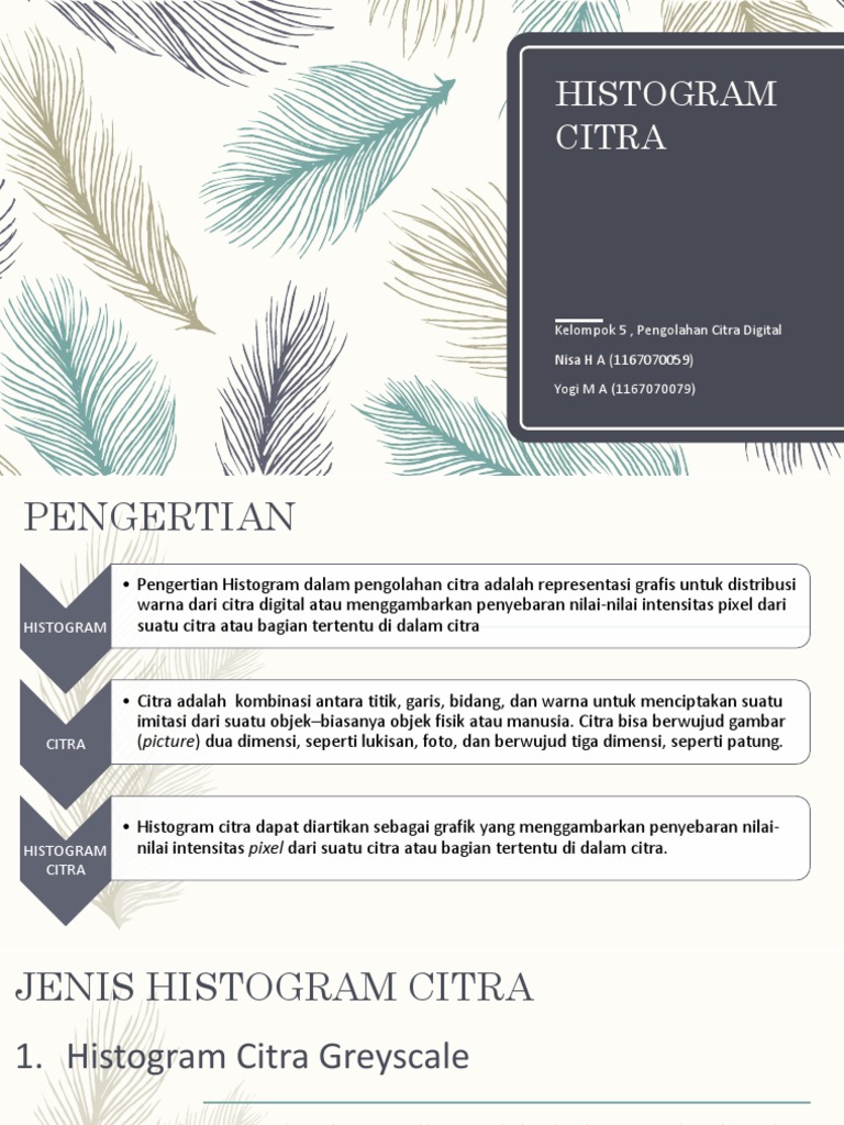Pengertian dan Jenis Histogram Citra | PDF