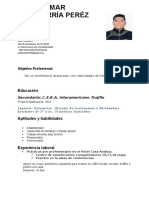 Curriculum Vitae Cronologico (1)