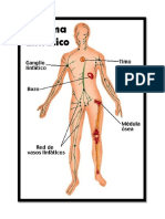 SISTEMA LINFATICO.docx