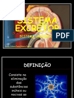 Sistema Corpo Humano