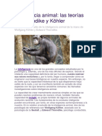 Inteligencia Animal: Las Teorías de Thorndike y Köhler