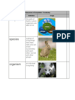 Copy of Natalie Escobar - Resources in Ecosystems Vocabulary