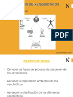 Absorcion de Xenobioticos (2)