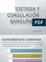 Hemostasiaycoagulacinsangunea 141204170552 Conversion Gate02