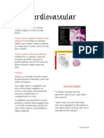 Histologia Cardiovascular PDF