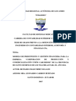 Modelo de Presupuesto y Gestion Financiera Empresa Uniandes 