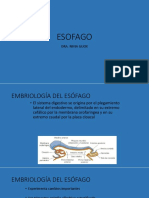 Esofago