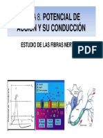 Potencial de Acción y Conducción.pdf