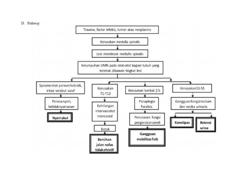 Pathway | PDF
