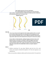 Soal KT: Pencerahan Dari Ok Essay