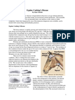 Equine Cushing's Disease