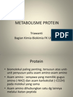 Metabolisme Protein