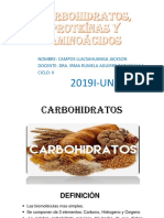 Carbohidratos, Proteina y Aminoacidos