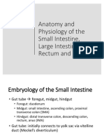 Anatomy and Physiology of Small and Large Intestines, Rectum and Anus