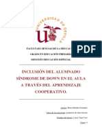 HIRALDO GONZÁLEZ, MARTA Inclusión Sindrome Down PDF