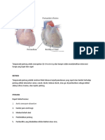 Tamponade Jantung