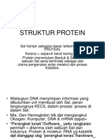 Struktur Dan Sintesa Protein