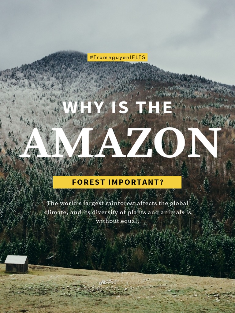 Why Is The Amazon PDF Amazon Rainforest Rainforest