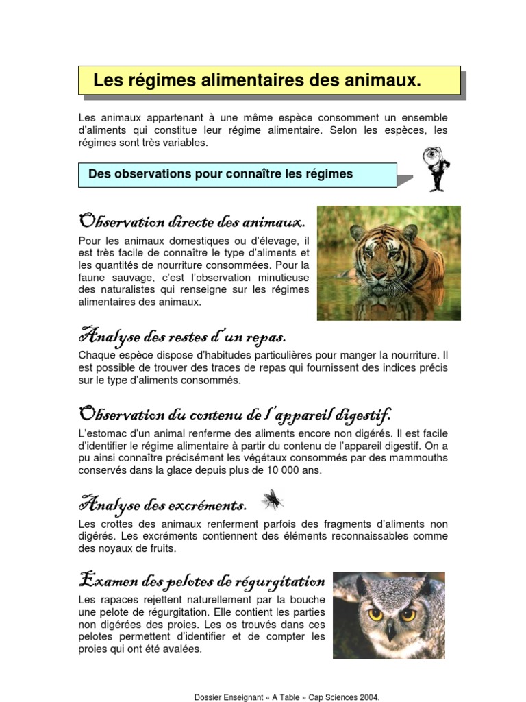 Le Régime Alimentaire Des Animaux Chaine Regimes Alimentaires | PDF | Réseau trophique | Productivité primaire