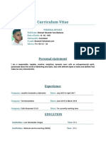 Curriculum Vitae: Personal Statement