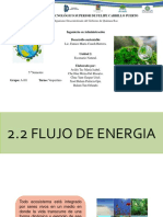 Flujo de Energia