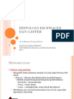 Histologi Esophagus Dan Gaster