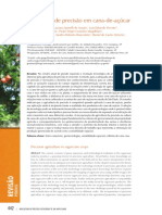 Ap Cana de Açucar PDF