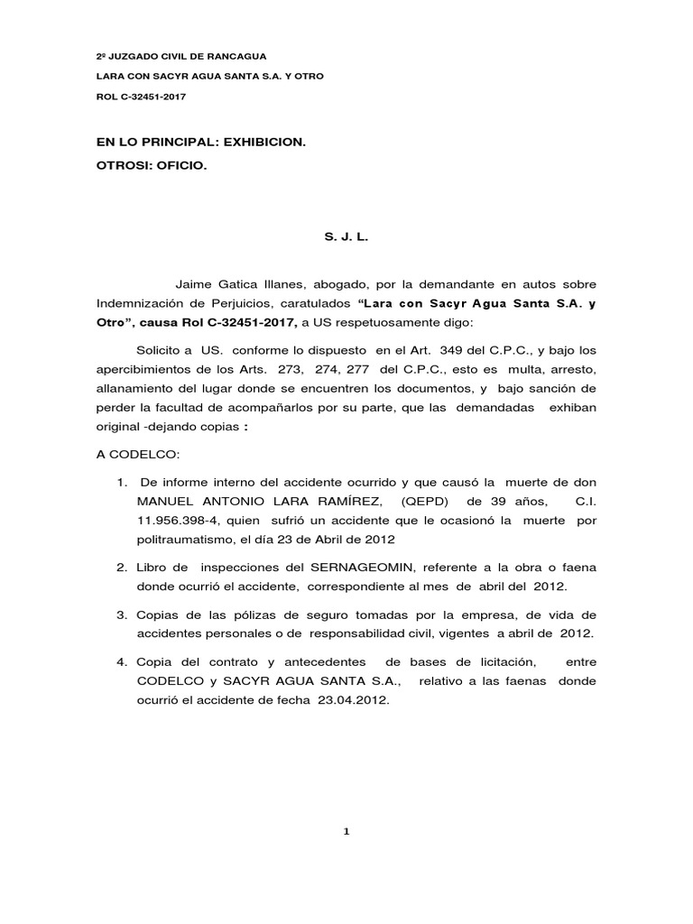 Exhibicion de Documentos | PDF | Gobierno | Agitación