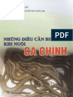 Những Điều Cần Biết Khi Nuôi Cá Chình NXB NN