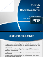 Ventricle and Blood Brain Barrier: DR - Aris Widayati, SP.S Dr. Nia Kurnianingsih, M.Biomed