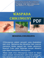 CHIKUNGUNYA PPSX